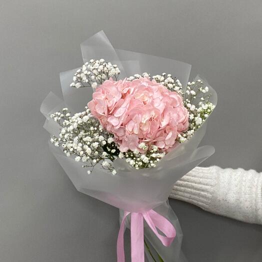 Комплимент гортензия и гипсофила