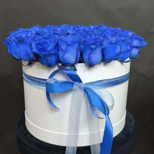 Эквадорские синие розы в коробке