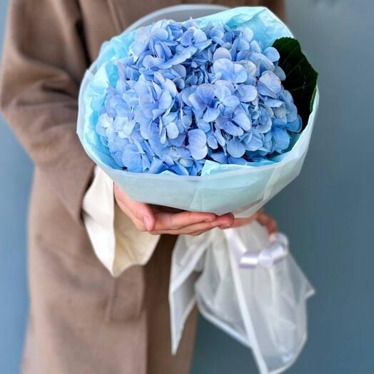 Голубая гортензия