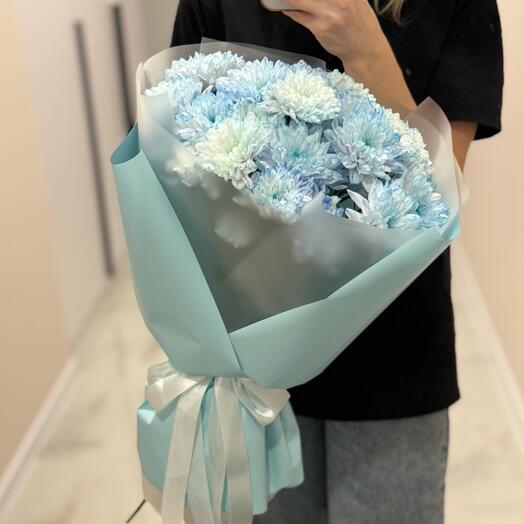 Красивый нежно голубой букет стойких хризантем