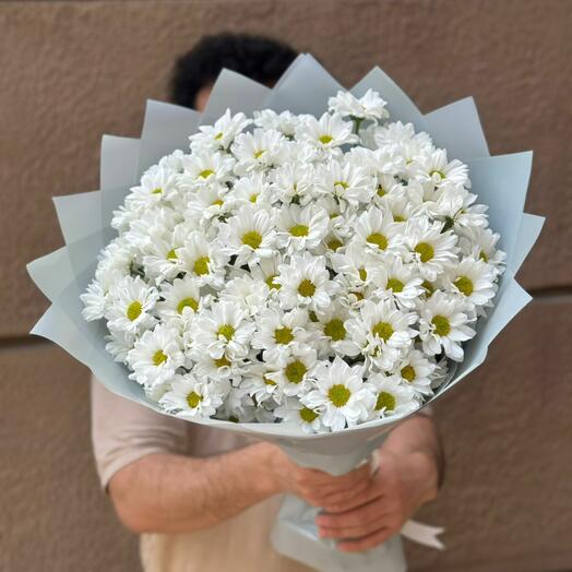 Букет 15 белых кустовых хризантем