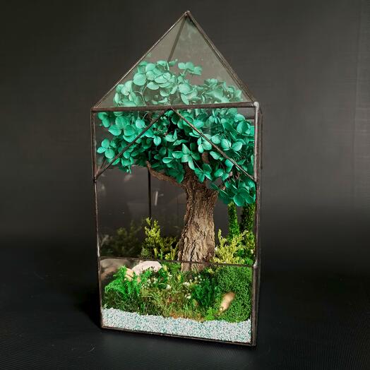 Моссариум "Изумрудный сад"