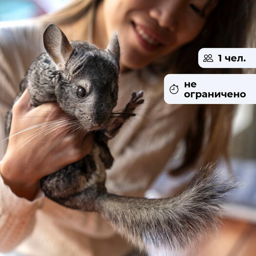 Чудеса фауны. Посещение зоопарка