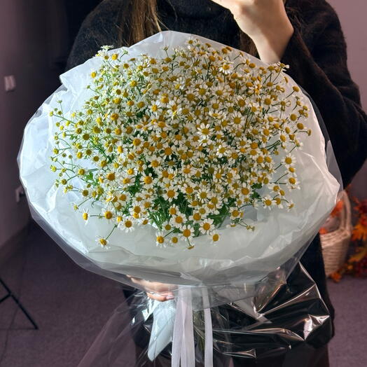 Букет дня из ромашек