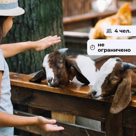 Ферма мечты. Посещение фермы Экзархо
