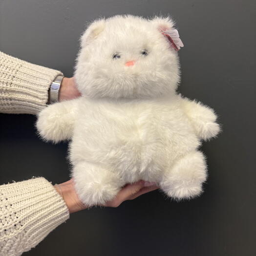 Кот белый