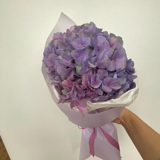 Сиреневое настроение💜. Гортензия