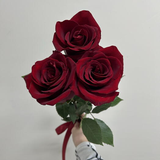 Роза Эквадор красная