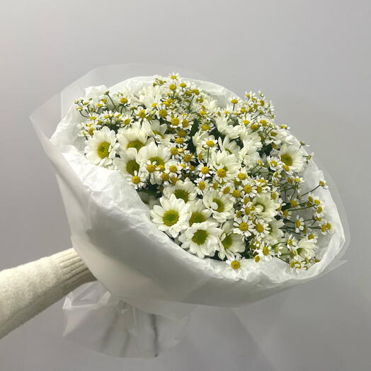 Ромашки