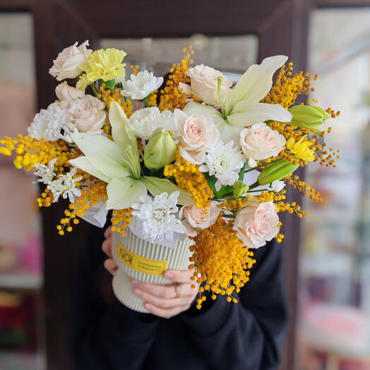 Кашпо с мимозой