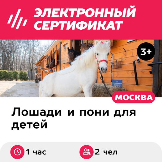 Подарочный сертификат Пони-школа. Индивидуальное занятие с тренером по верх. езде, 2 чел. (1 час)