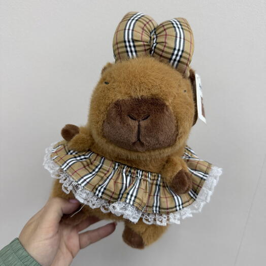 Капибара маленькая