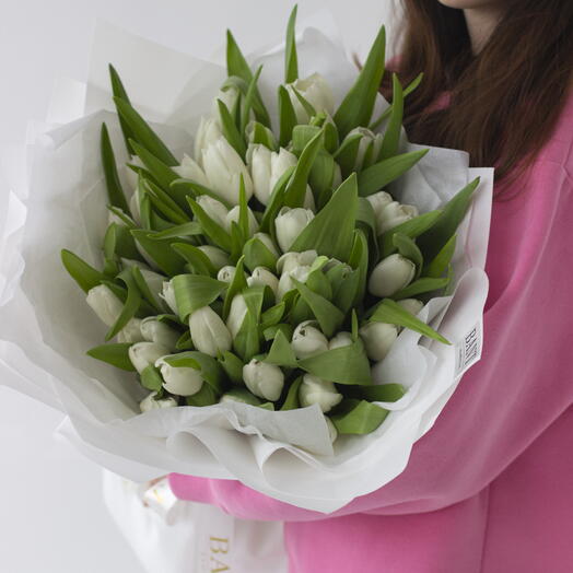 51 белый тюльпан