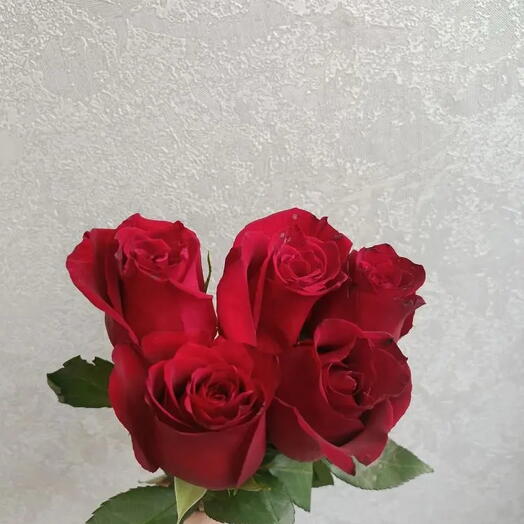 Розы алые 5 шт