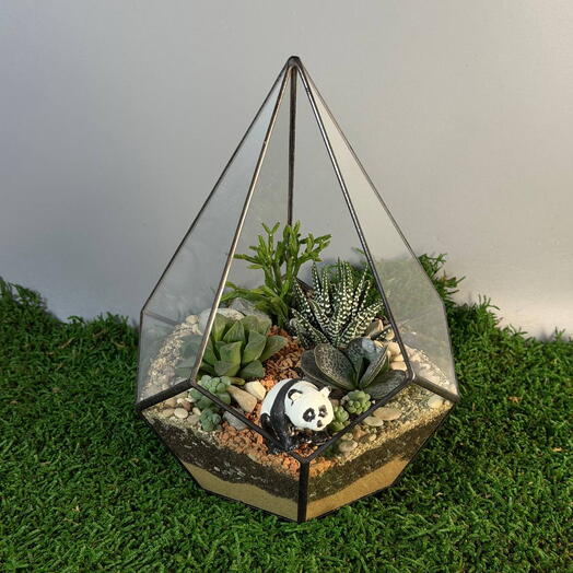 Флорариум подарок с суккулентами Утро панды