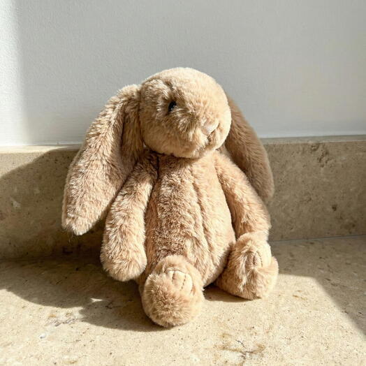 Little Bunny Ronald