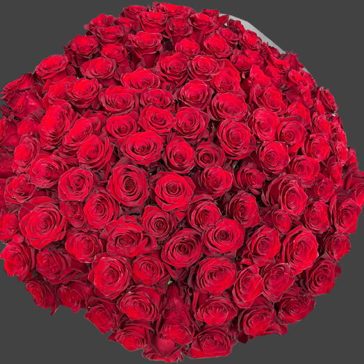 101 Роза 🌹