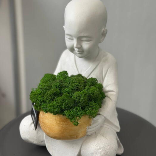 Композиция из стабилизированного мха "Монах"