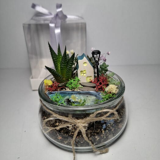 Цветы на день рождение-  супер мини флорариум с хавортией