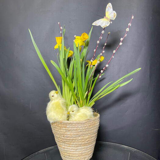 Пасхальная композиция с нарциссами в грунте, вербой и цыплятами