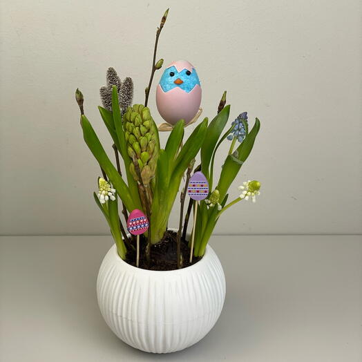 Композиция пасхальная из гиацинта и мускари