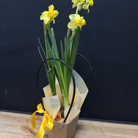 Нарцисс в сумочке