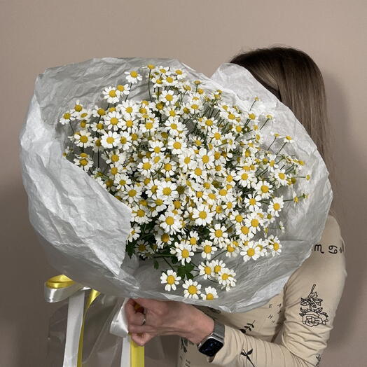 Ромашки🌼 Полевой букет