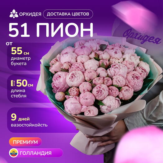 51 Пион "Сара Бернар