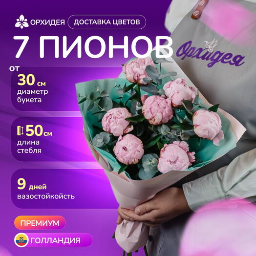 7 Пионов "Сара Бернар" с эвкалиптом