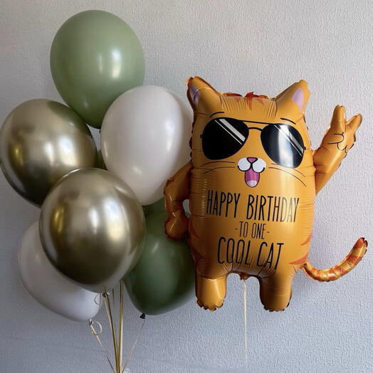 Воздушные шары «Cool Cat»