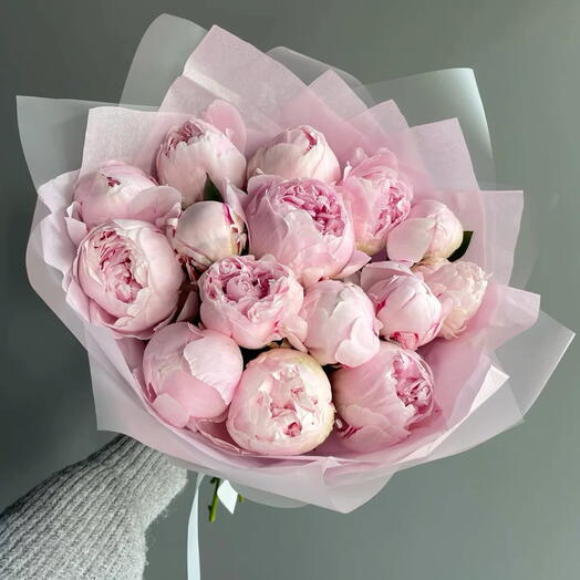 Розовые пионы 15 штук