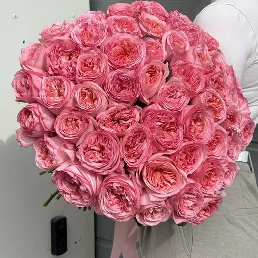 45 пионовидных роз pink expression