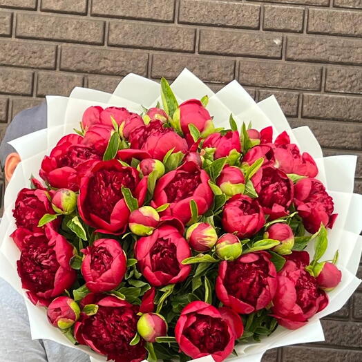 ♥️♥️♥️Букет из 35ш красных пиони