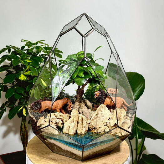 Florarium Dragon Egg with Ficus Microcarp