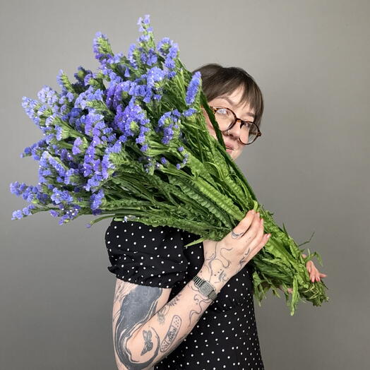 СТАТИЦА синяя