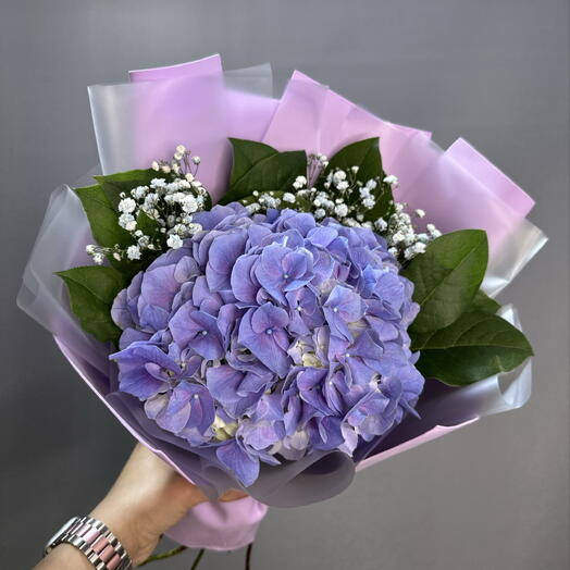 Яркая Гортензия в авторской упаковке💜