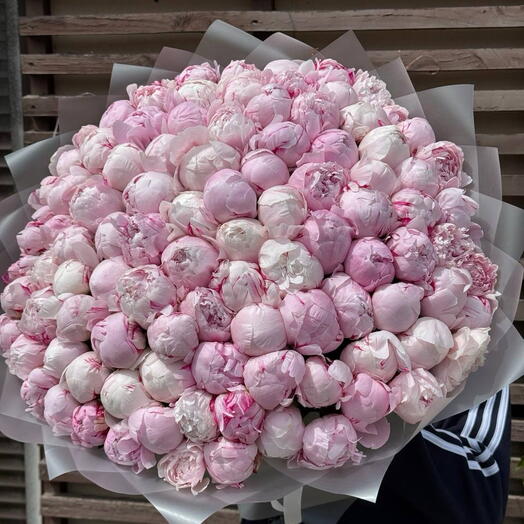 101 розовый пион