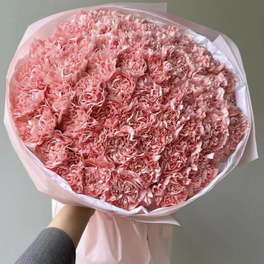 Диантусы Розовые PINK DREAM 51