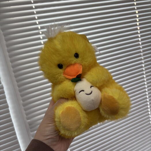 Утенок 🐥