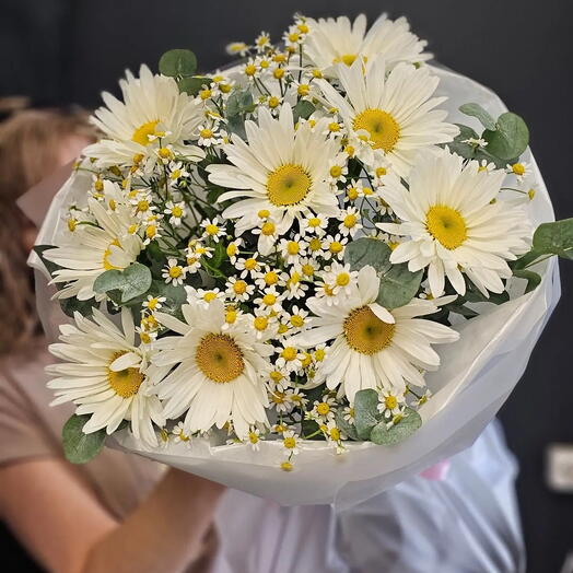 ромашки с танацетум