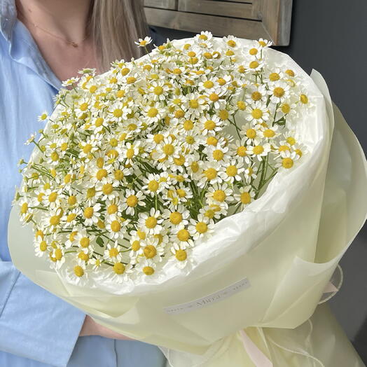 Моно букет ромашка