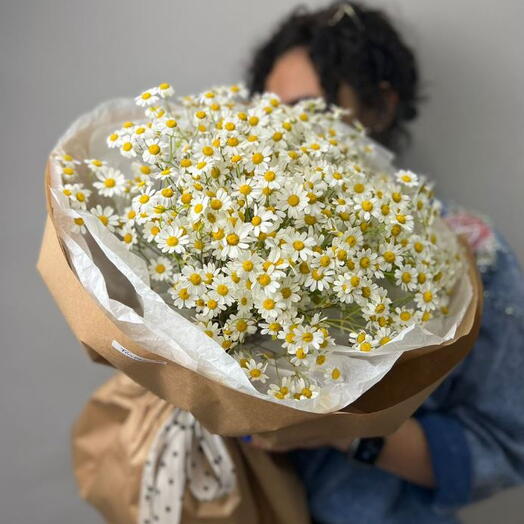Букет из 21 ветки ромашек Матрикария