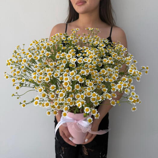 Chamomile Mood