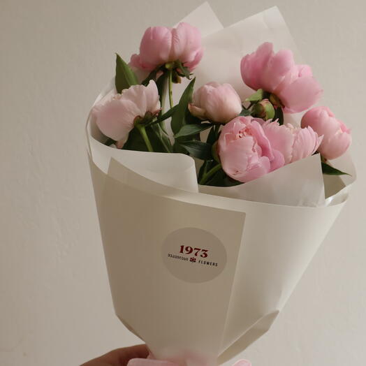 Peony blush
