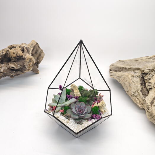 Florarium "Velvet tenderness" Drop 18x26cm