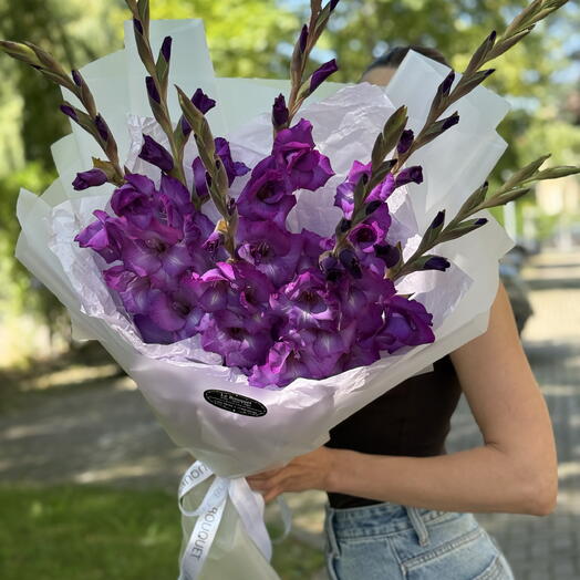 Гладиолусы фиолетовые 7 шт