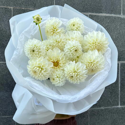 Георгины 19 шт