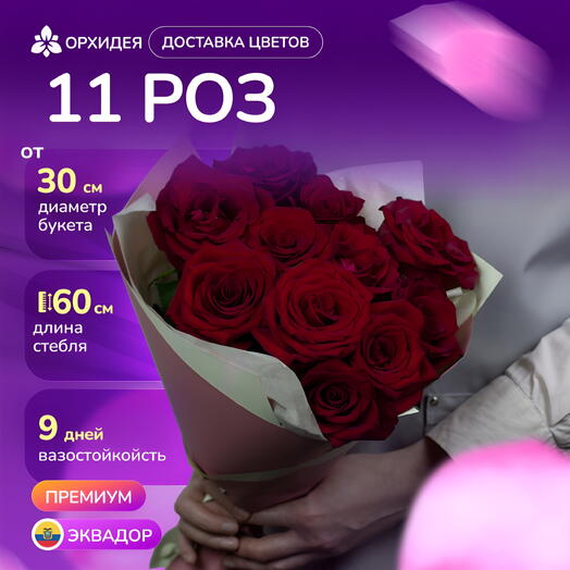 11 Роз красных 60 см