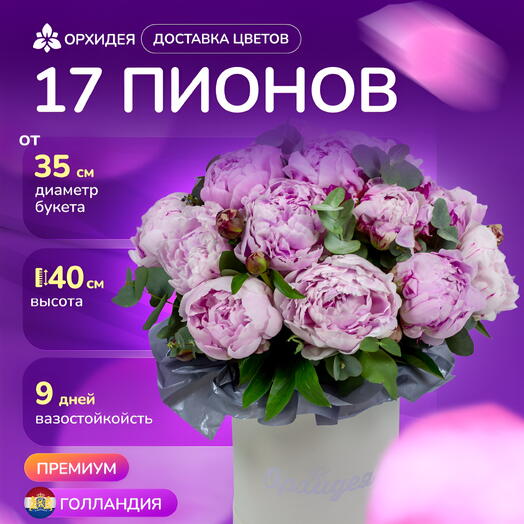 Коробка 17 пионов сара с эвкалиптом