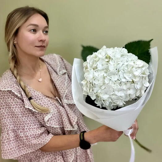 Букет из 1 шт. Белой гортензии